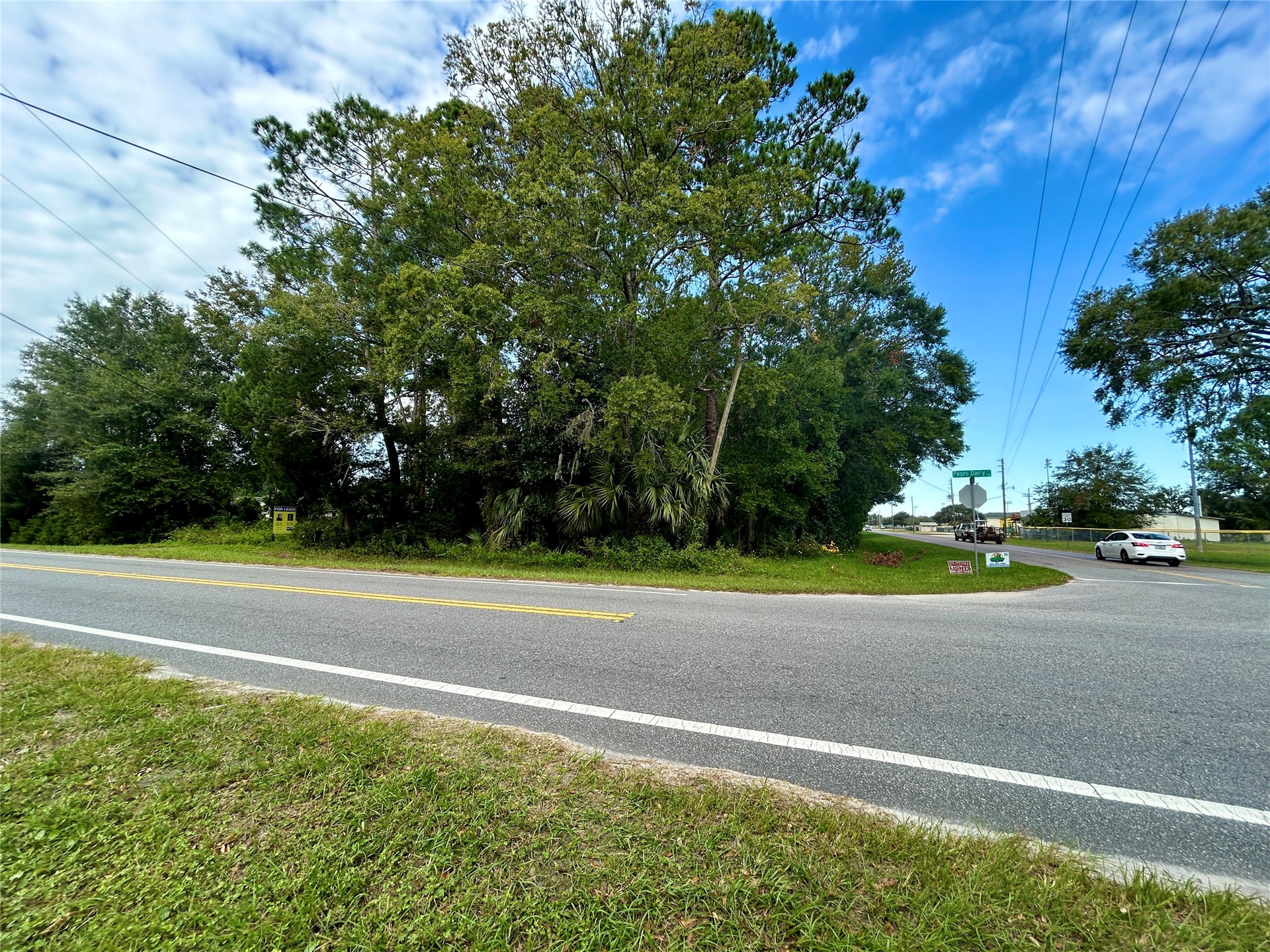 0 Goodbread Road Yulee, FL 32097 - Photo 6 of 19 a view of a yard with a large trees
