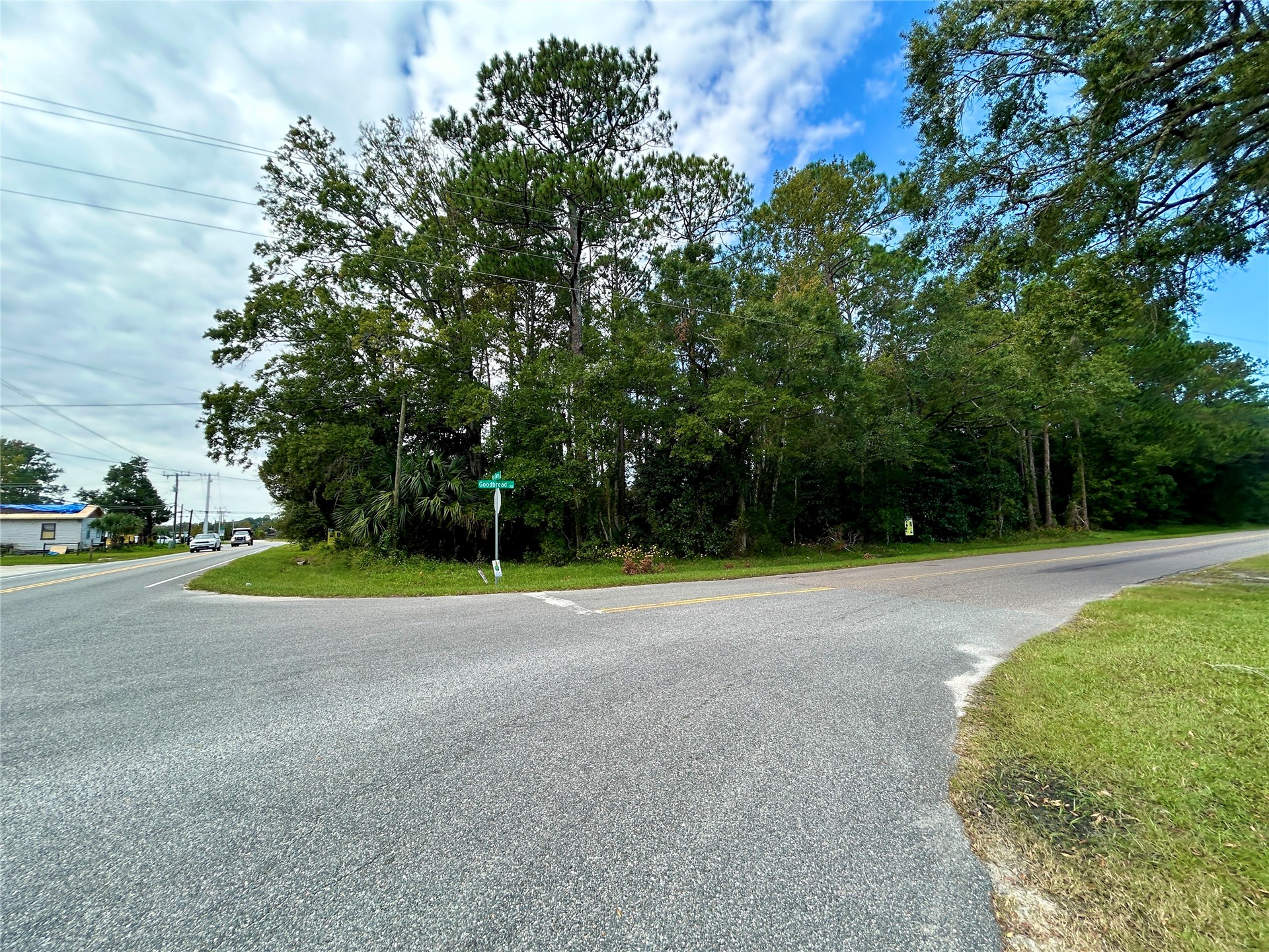 0 Goodbread Road Yulee, FL 32097 - Photo 8 of 19 a view of a field with a trees in the background