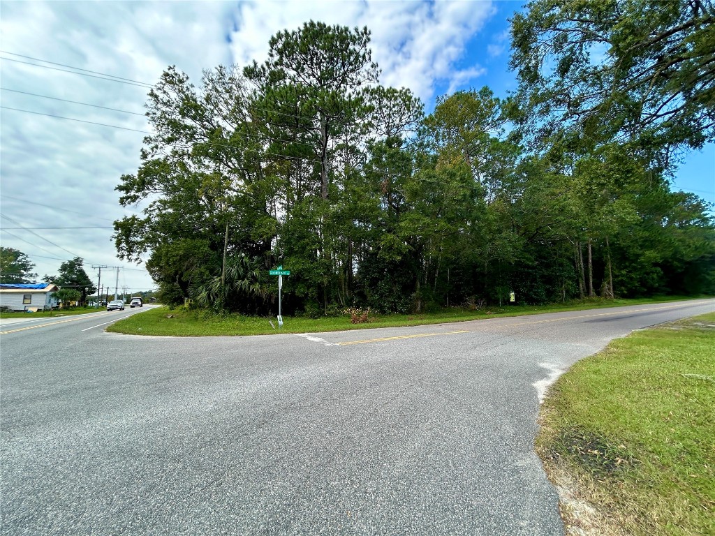 0 Goodbread Road Yulee, FL 32097 - Photo 8 of 19 a view of a field with a trees in the background