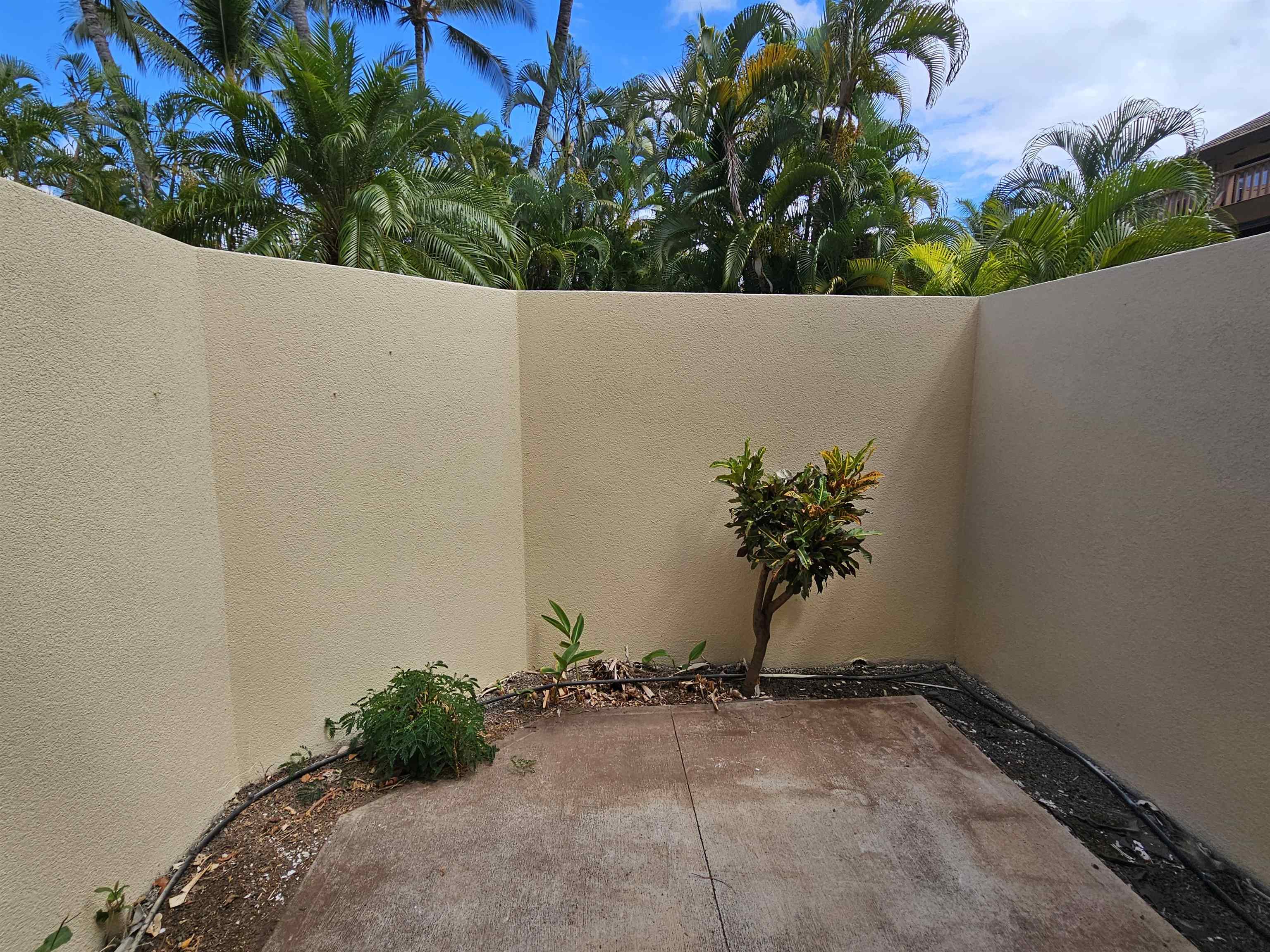 2777 South Kihei Road, Unit K107 Kihei, HI 96753 - Photo 40 of 50 a view of a potted plant in a backyard