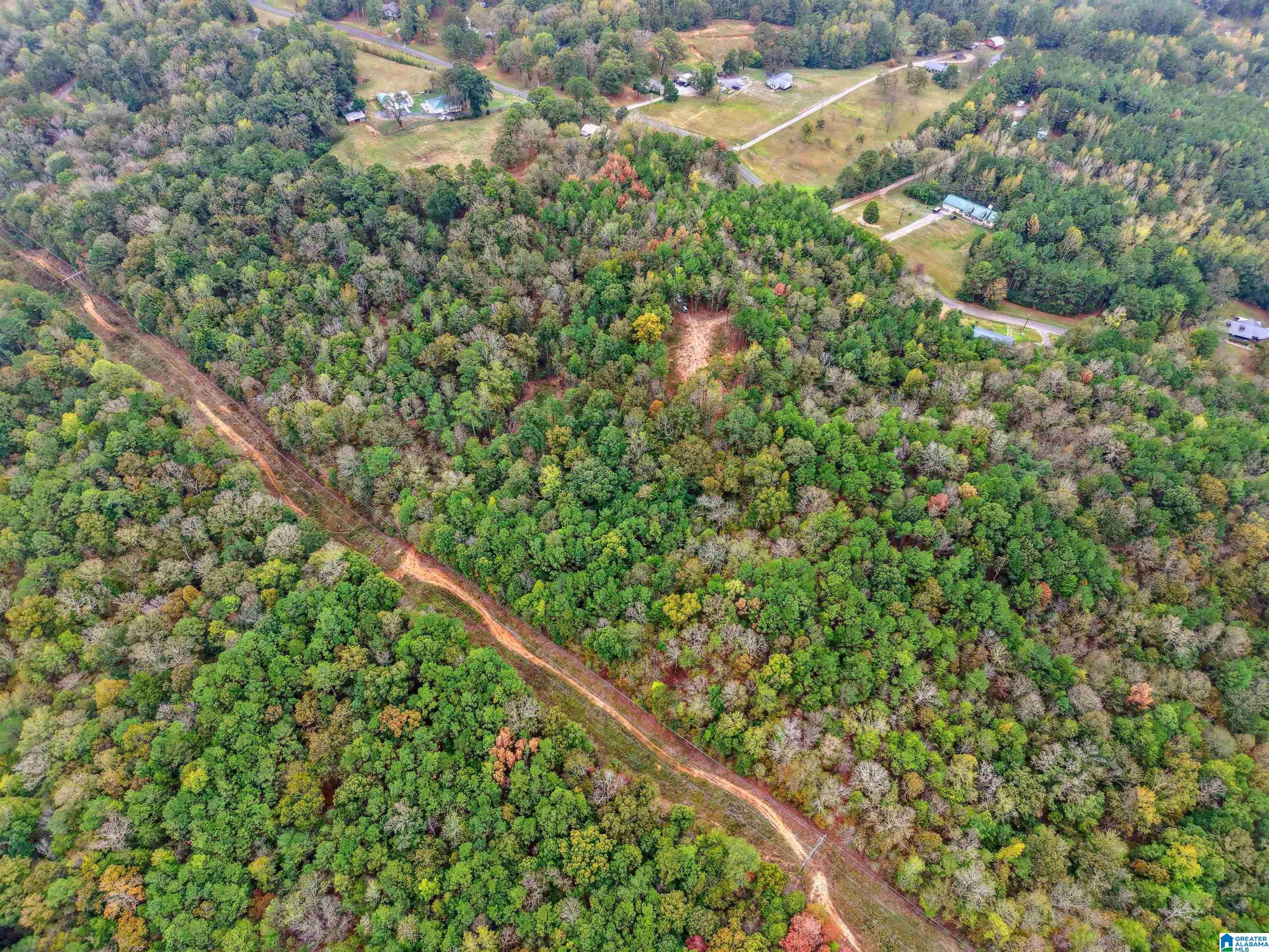 1215 Buddy Vines Camp Road Bessemer, AL 35023 - Photo 19 of 25