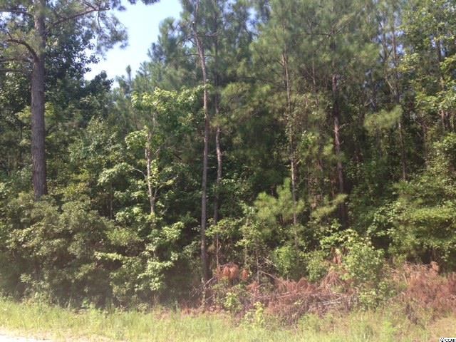 1.75-acres Flossie Road Conway, SC 29527 - Photo 1 of 2 Gallery Image 1