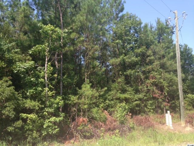 1.75-acres Flossie Road Conway, SC 29527 - Photo 2 of 2 Gallery Image 2