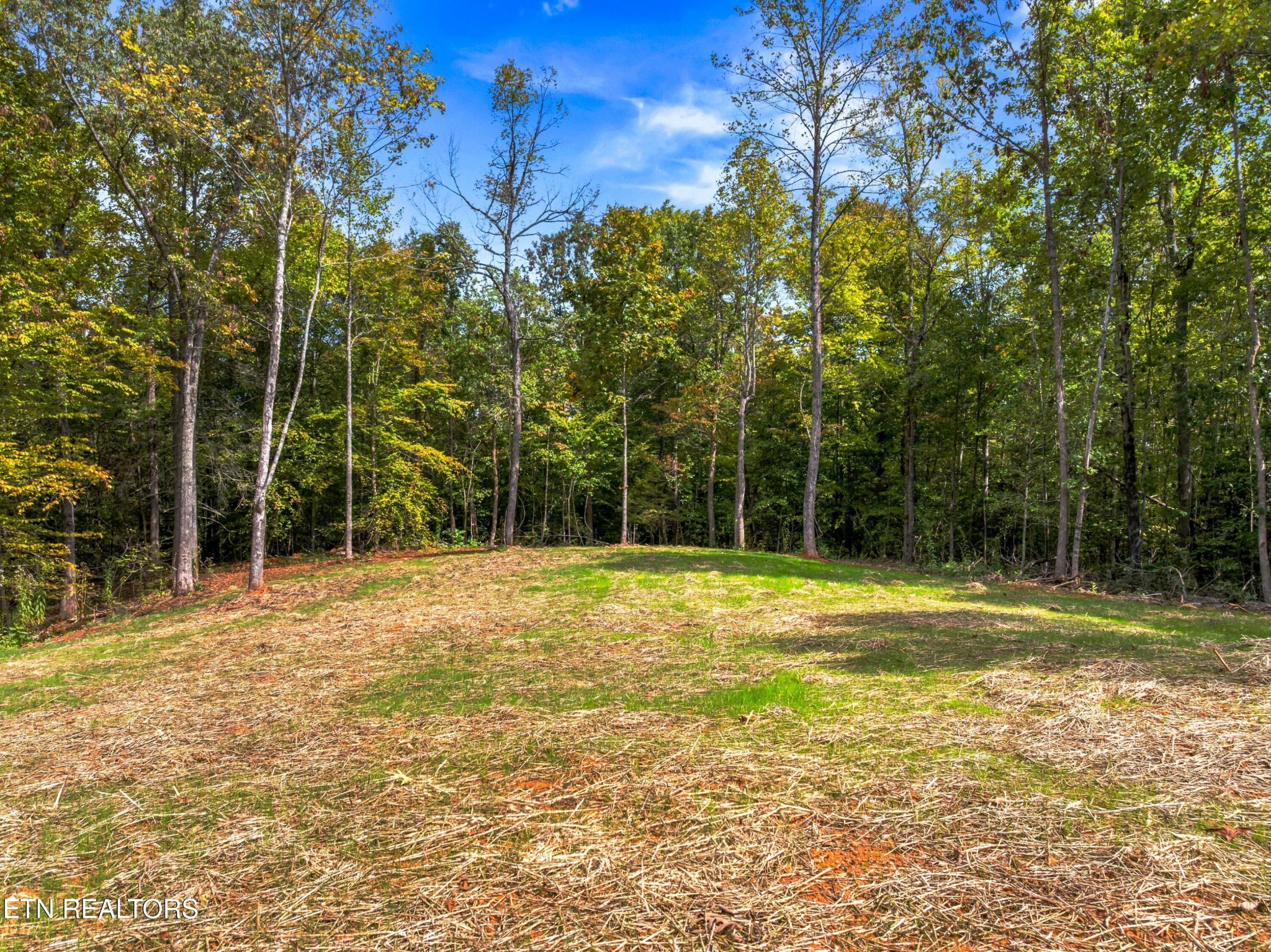 146 Fancher Road Newport, TN 37821 - Photo 6 of 41 a view of a swimming pool with a big yard and large trees