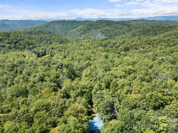 a view of a field with a lush green forest