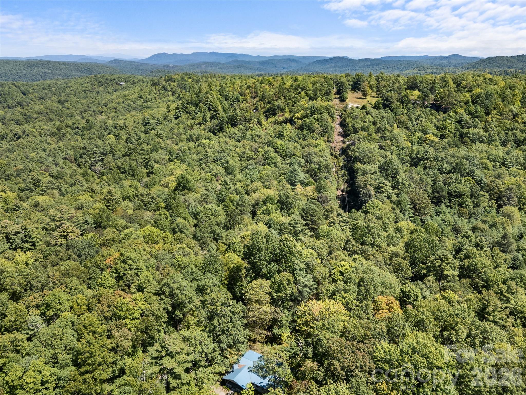 1756 Happy Acres Road Brevard, NC 28712 - Photo 34 of 35 a view of a yard with an outdoor space