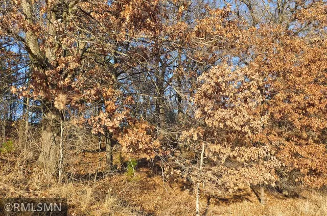 $90,000 | 1539 101st Avenue, Amery, WI 54001