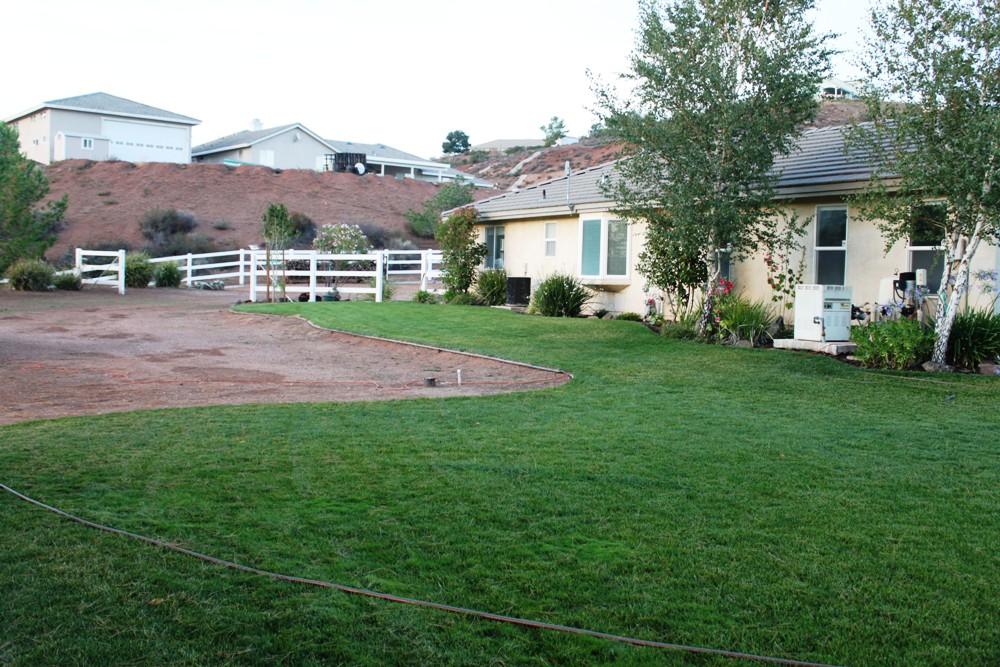 33727 Desert Road Acton, CA 93510 - Photo 12 of 84 IMG_6019