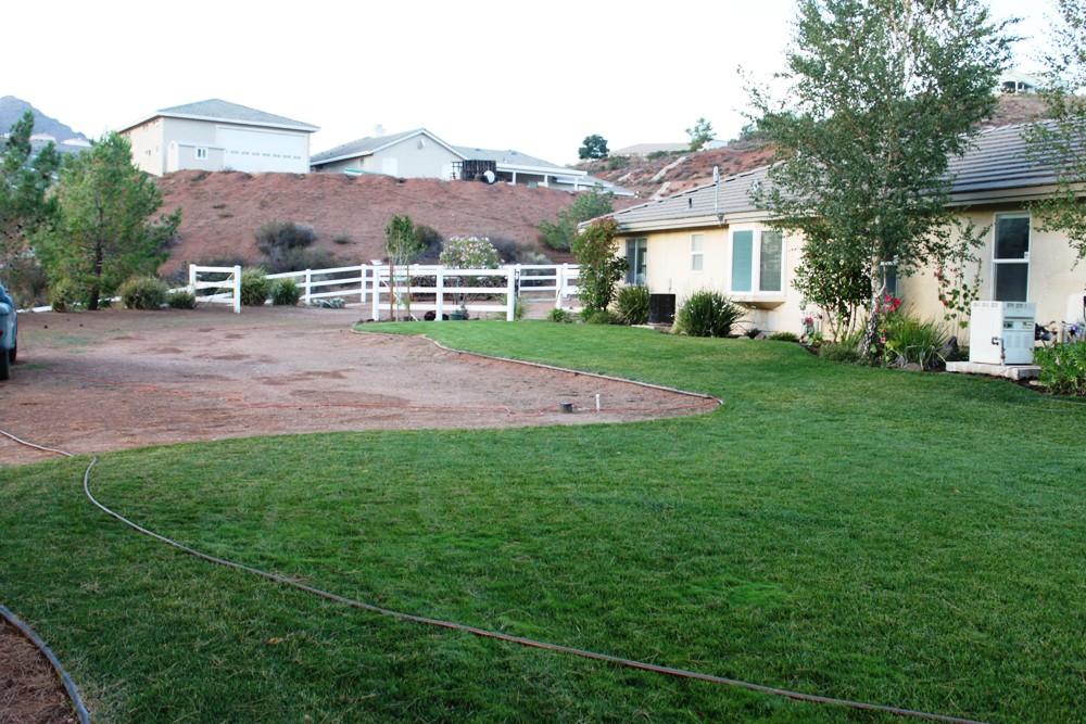 33727 Desert Road Acton, CA 93510 - Photo 13 of 84 IMG_6020