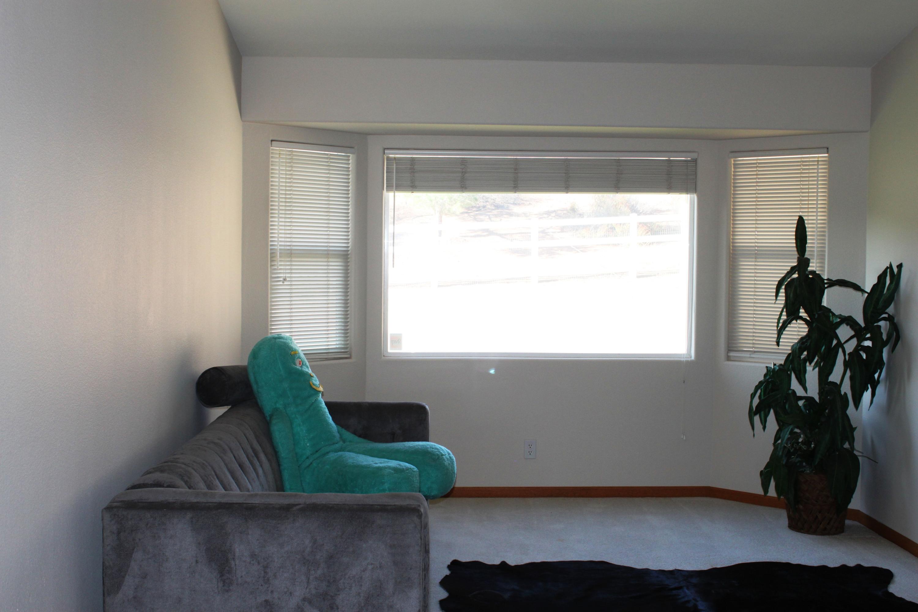 33727 Desert Road Acton, CA 93510 - Photo 29 of 84 IMG_5939