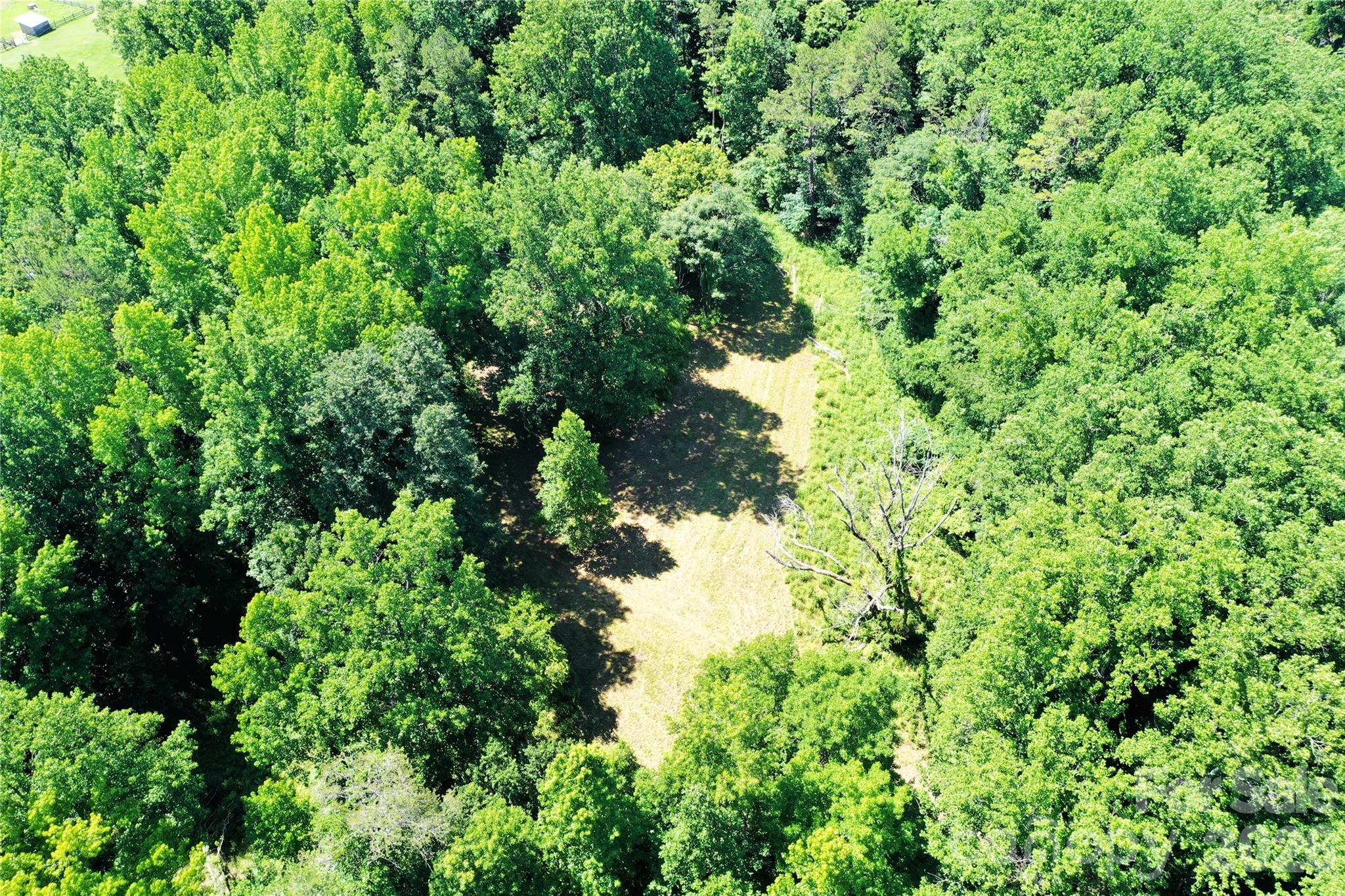 0 River Road Tryon, NC 28782 - Photo 9 of 30