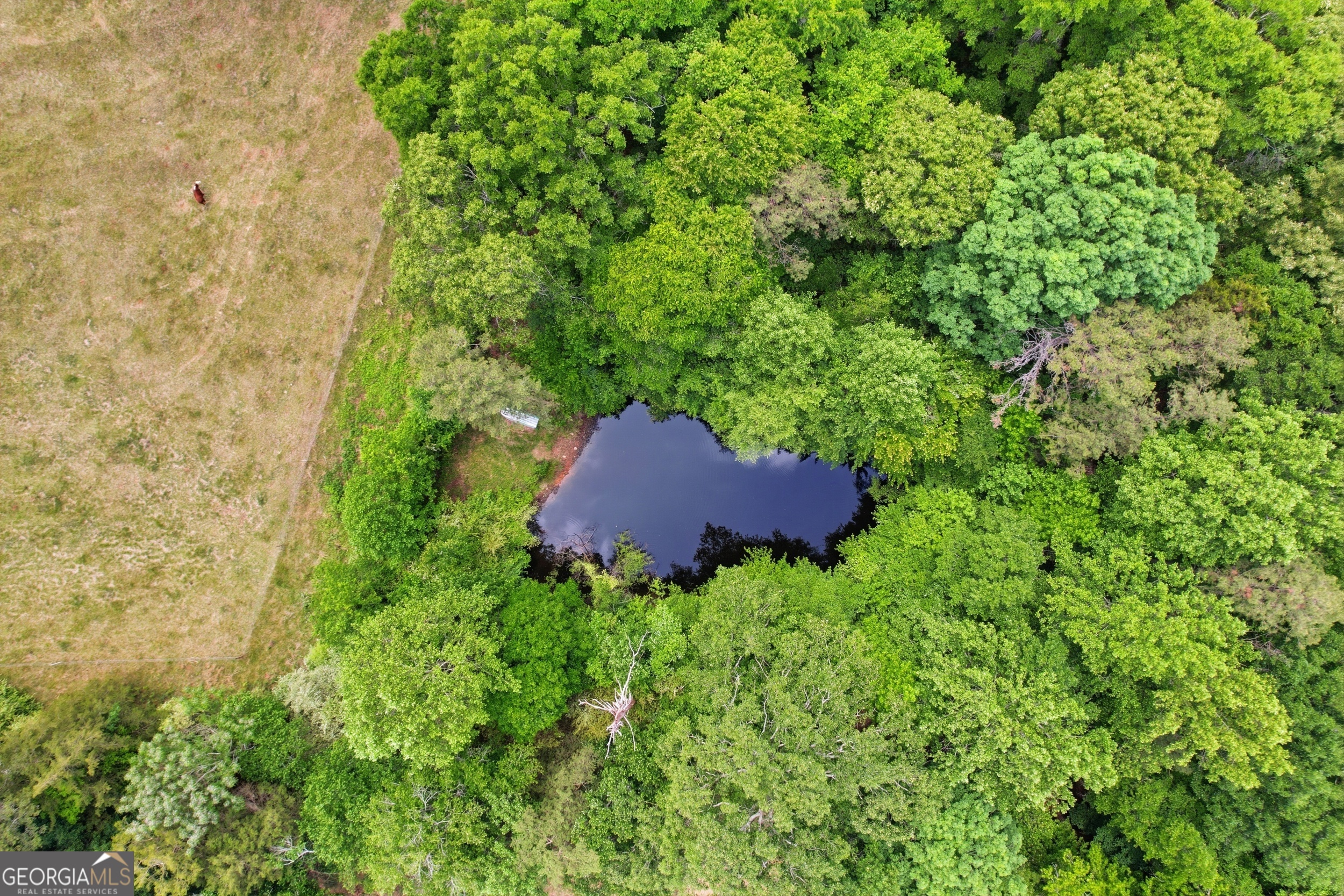 412 Tower Road Martin, GA 30557 - Photo 13 of 49