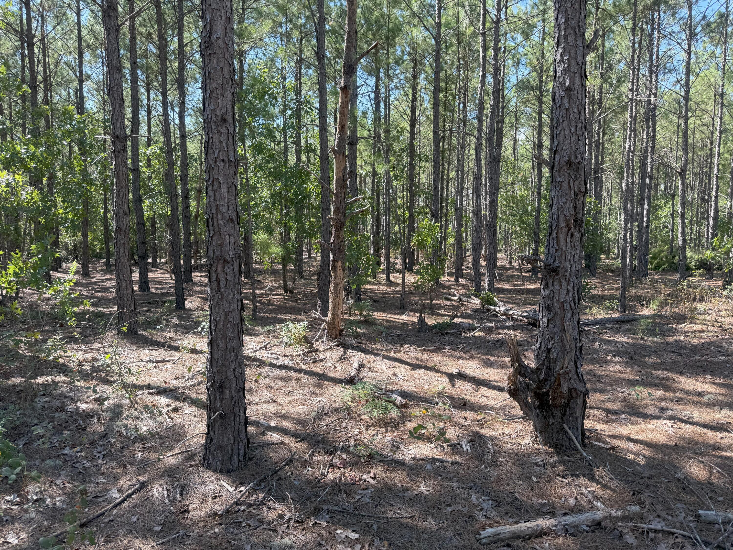 6 Providence Road, Unit KF 6 Kershaw, SC 29067 - Photo 3 of 9 IMG_2772