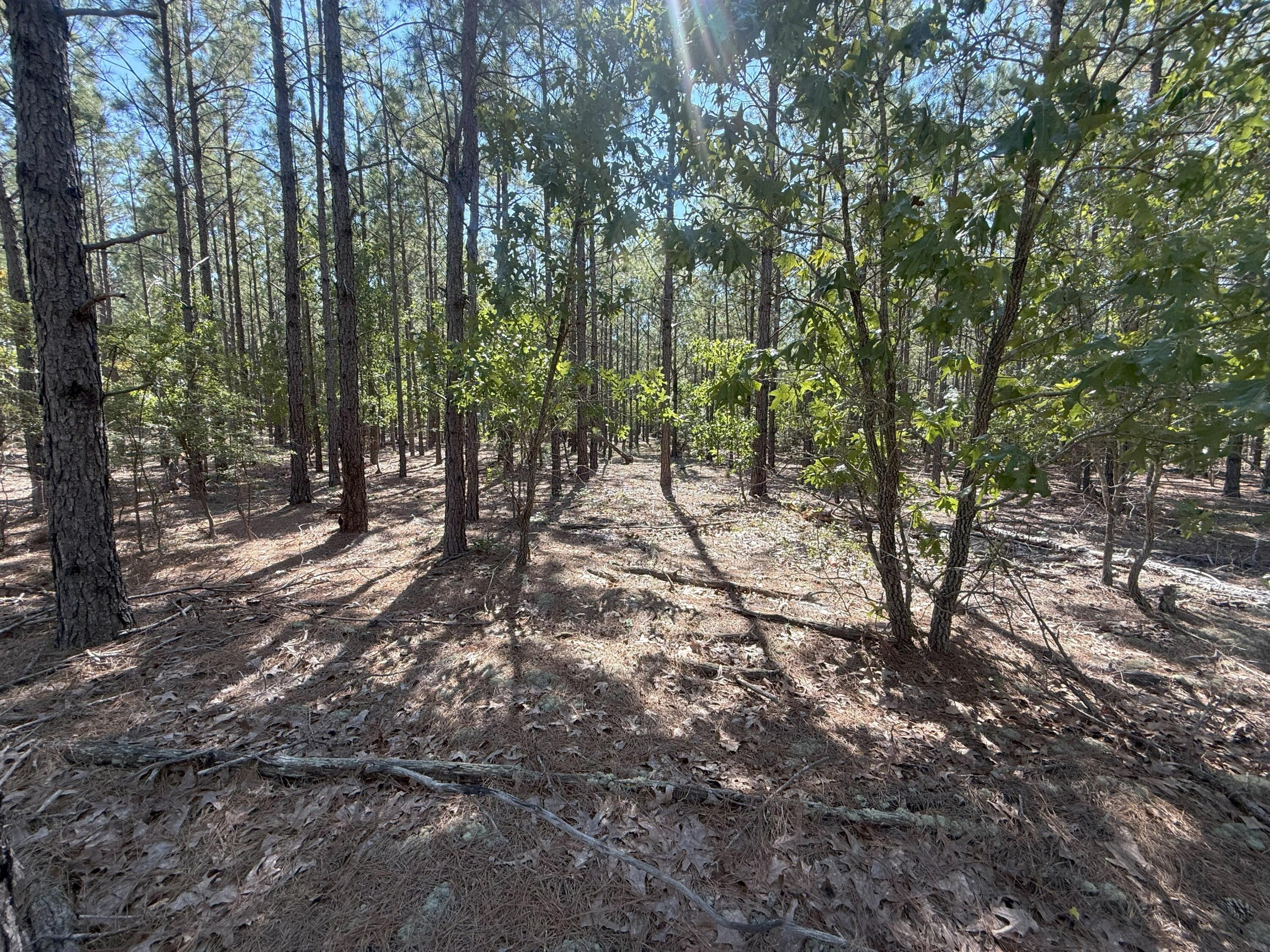 6 Providence Road, Unit KF 6 Kershaw, SC 29067 - Photo 5 of 9 IMG_2769