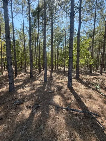 $37,900 | 6 Providence Road, Unit KF 6, Kershaw, SC 29067