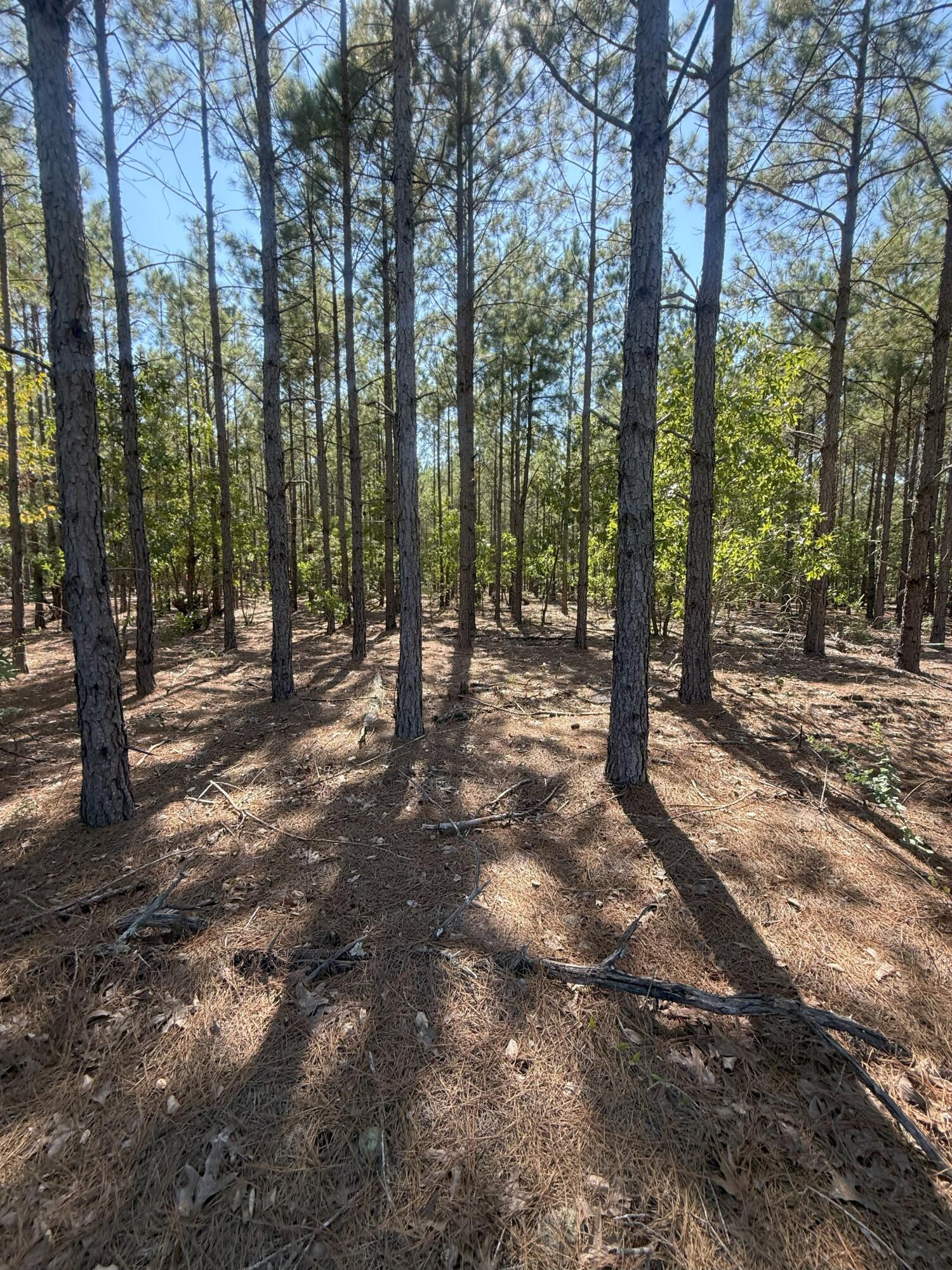 6 Providence Road, Unit KF 6 Kershaw, SC 29067 - Photo 7 of 9 IMG_2767