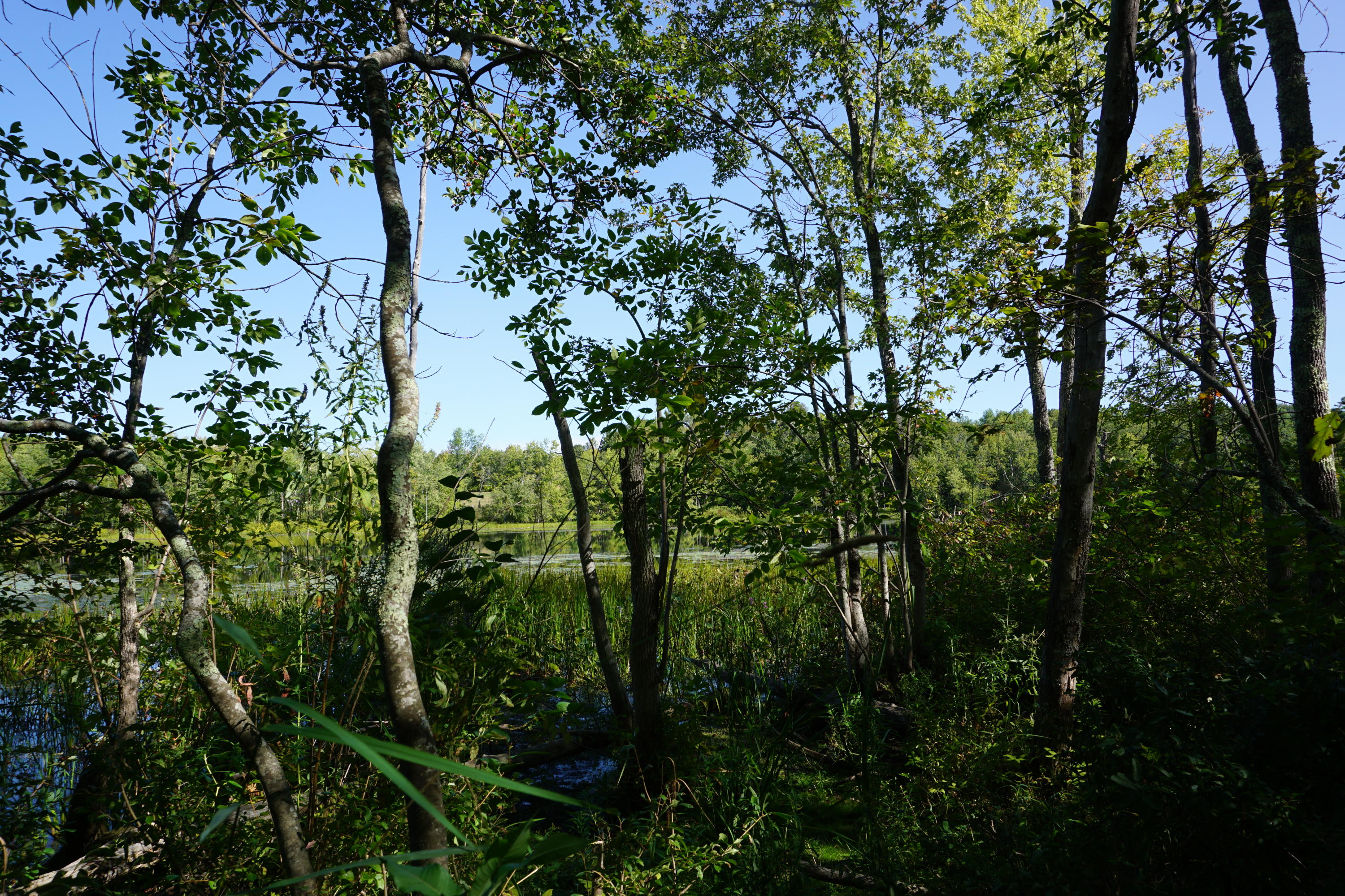 0 Lunts Hill Road Litchfield, ME 04350 - Photo 12 of 17 DSC03034