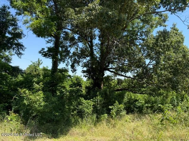 53 Cliffs Plantation Road Natchez, MS 39120 - Photo 6 of 23 53 Cliffs Plantation Pic 6