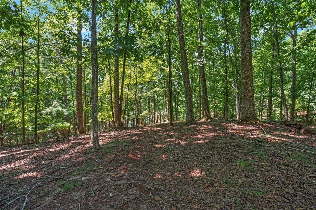 7488 Shadburn Ferry Road Cumming, GA 30041 - Photo 83 of 91 Gallery Image 83
