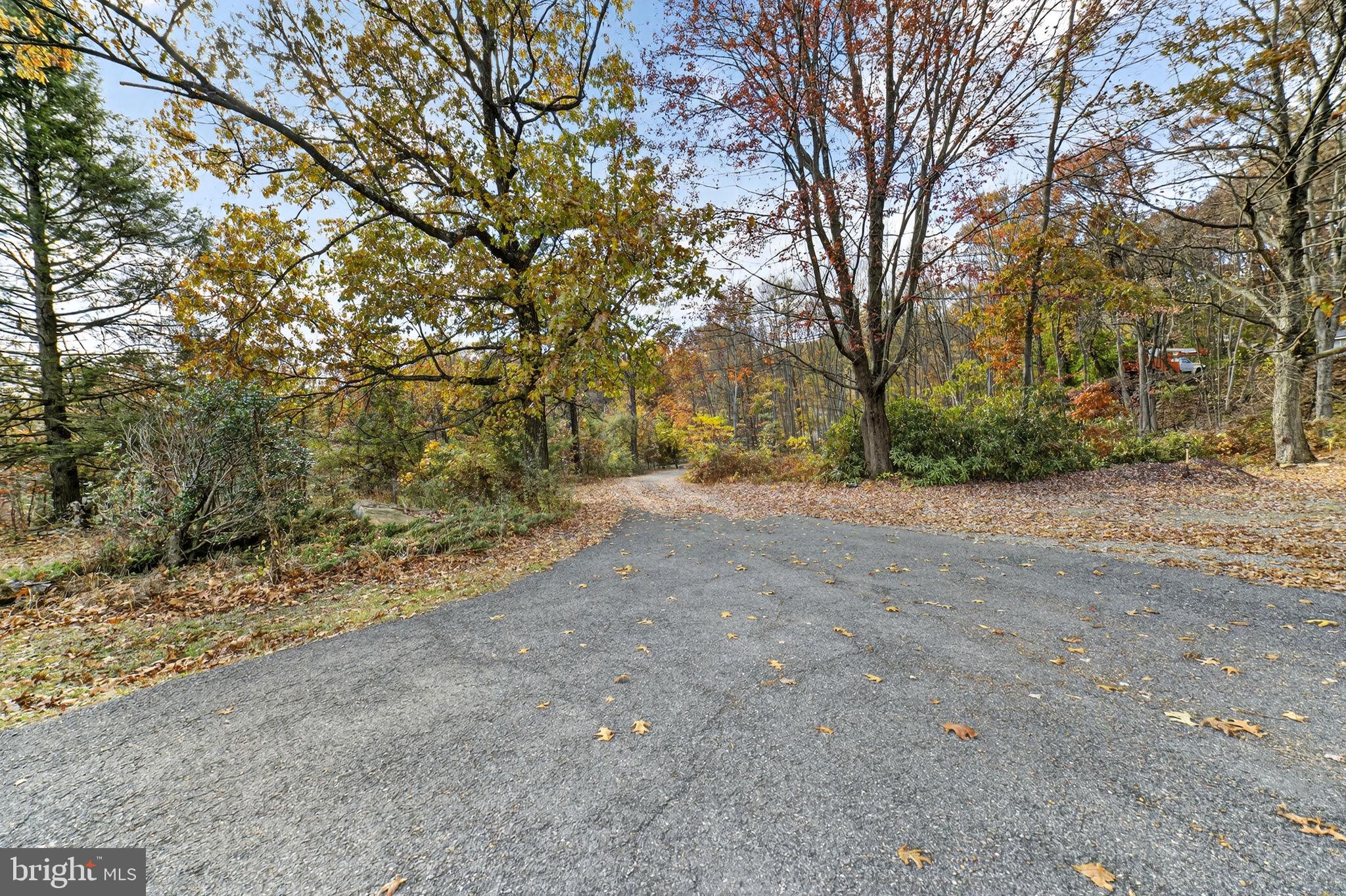 394 Flagstaff Road Lehighton, PA 18235 - Photo 66 of 73 a view of dirt yard with a large tree