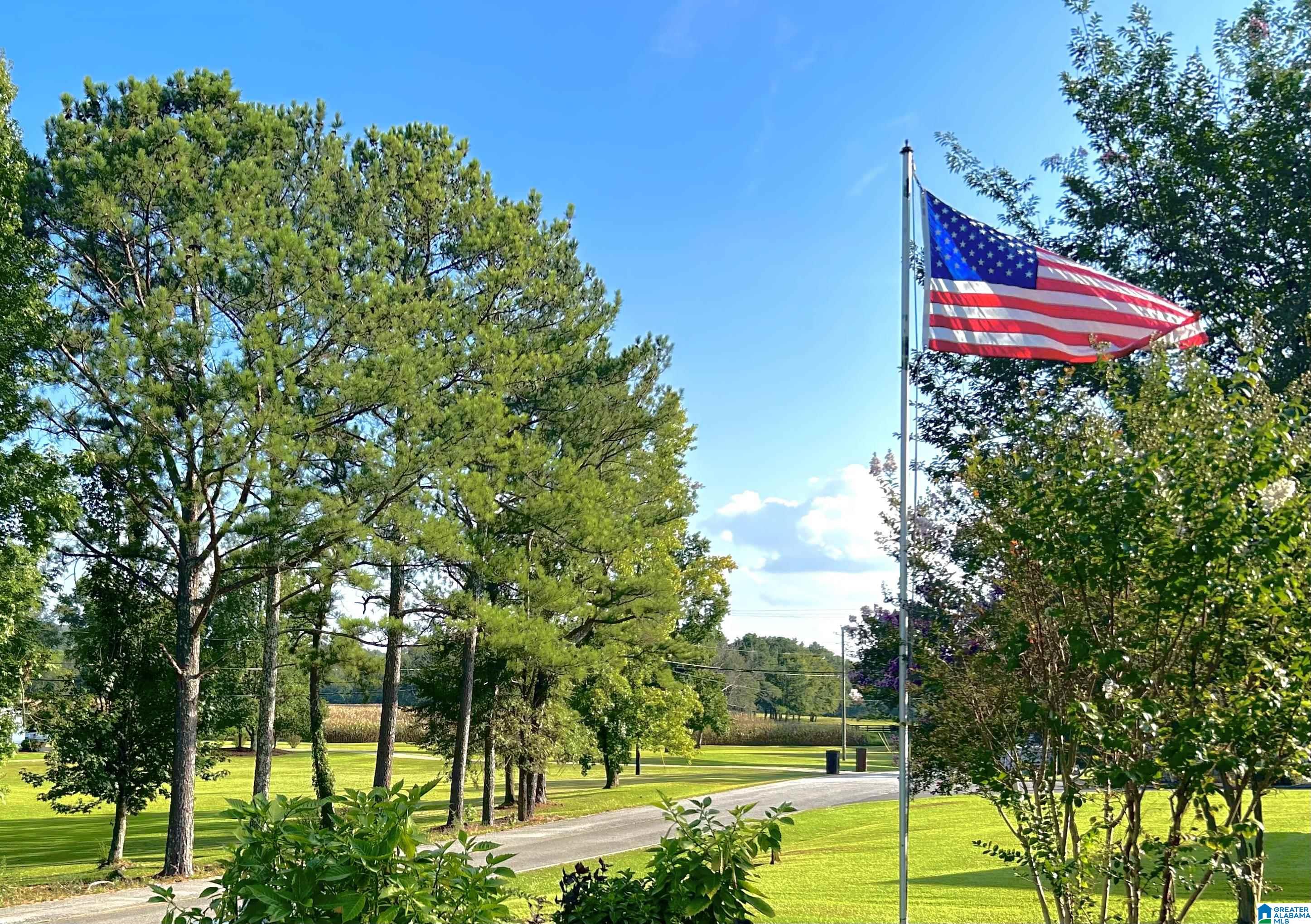 1735 Halls Chapel Road Alexandria, AL 36250 - Photo 23 of 23