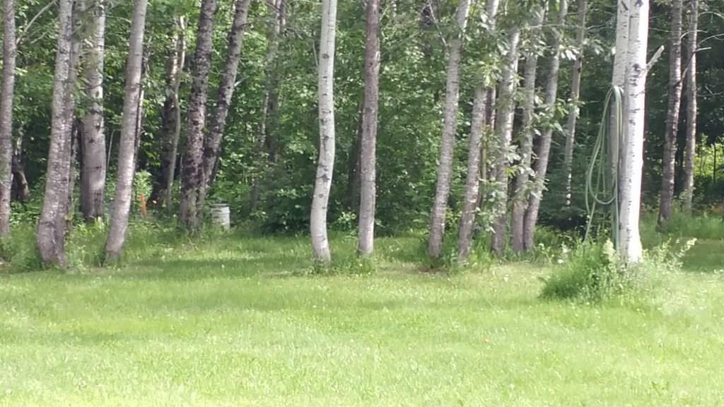 967 B Road Houlton, ME 04730 - Photo 15 of 34 Photo
