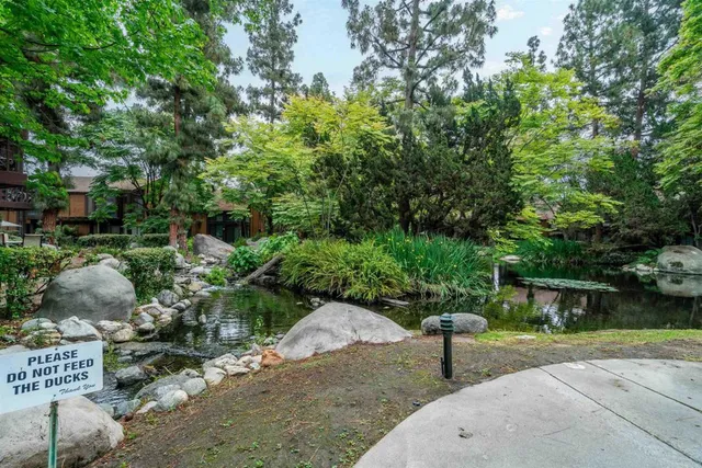 a view of a backyard with plants and a patio
