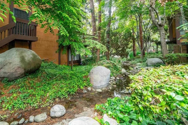 a view of road with trees