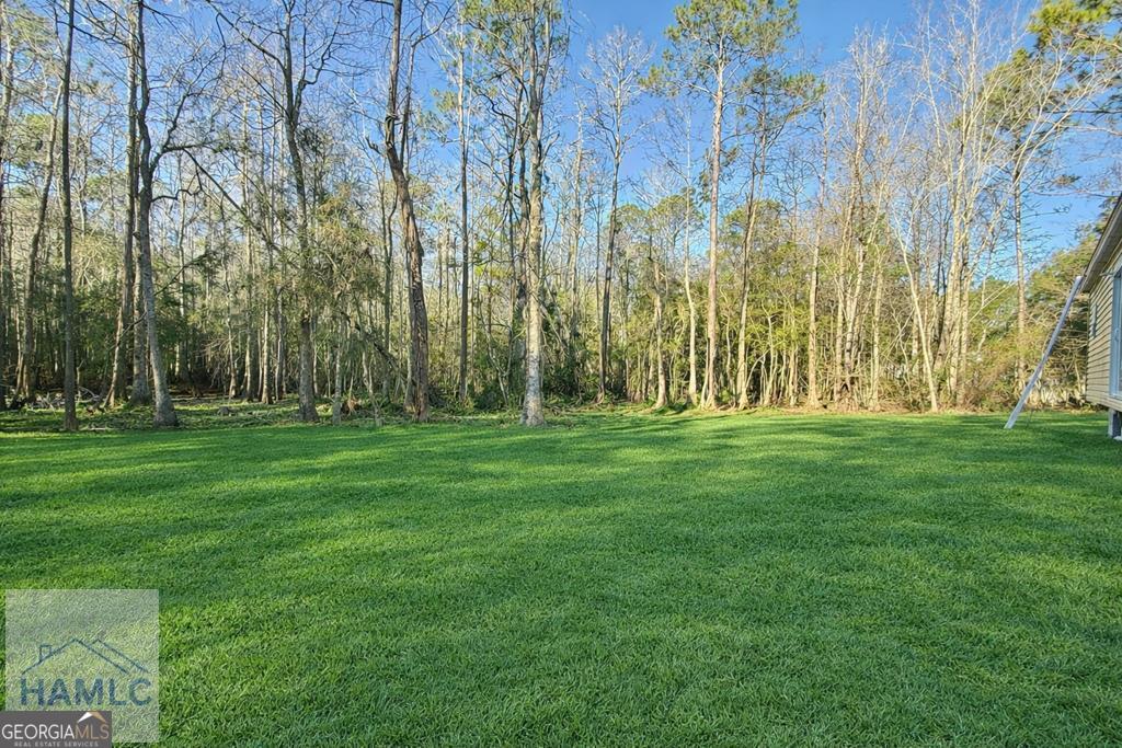 16 Joshua Way Allenhurst, GA 31301 - Photo 10 of 10