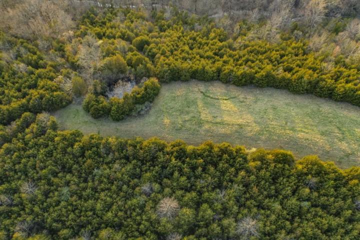 2 Chaplin Road Willisburg, KY 40078 - Photo 8 of 11 4223 Chaplin Rd (20 of 35) (Small)