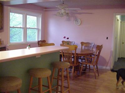 18510 East Territorial Road Waldron, MI 49288 - Photo 10 of 14 Additional Photo