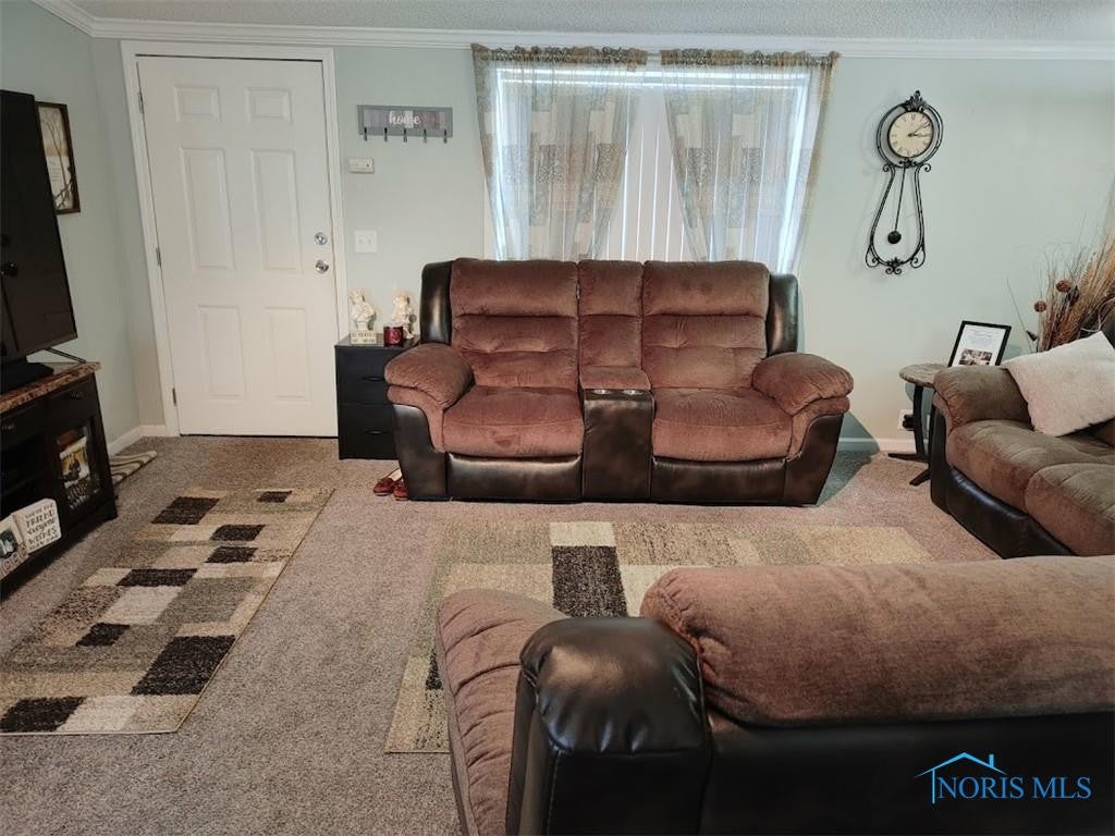230 Reed Street McClure, OH 43534 - Photo 12 of 50 Gallery Image 12