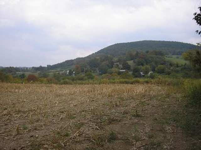 0 State Rt 145 Cobleskill, NY 12043 - Photo 3 of 9 Photo 3