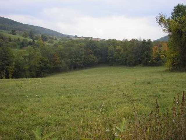 0 State Rt 145 Cobleskill, NY 12043 - Photo 4 of 9 Photo 4