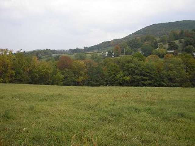 0 State Rt 145 Cobleskill, NY 12043 - Photo 5 of 9 Photo 5