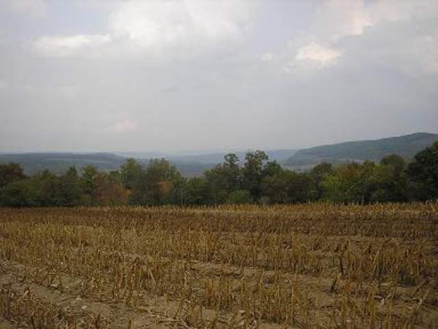 0 State Rt 145 Cobleskill, NY 12043 - Photo 7 of 9 Photo 7