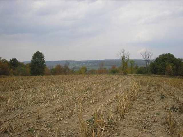 0 State Rt 145 Cobleskill, NY 12043 - Photo 8 of 9 Photo 8