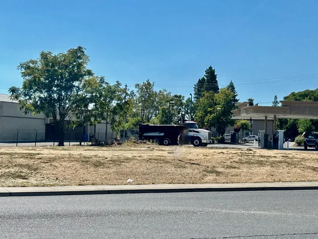 a view of a backyard with a tree