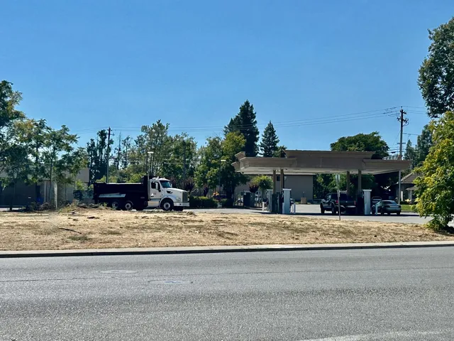 a view of a house with a yard and large tree