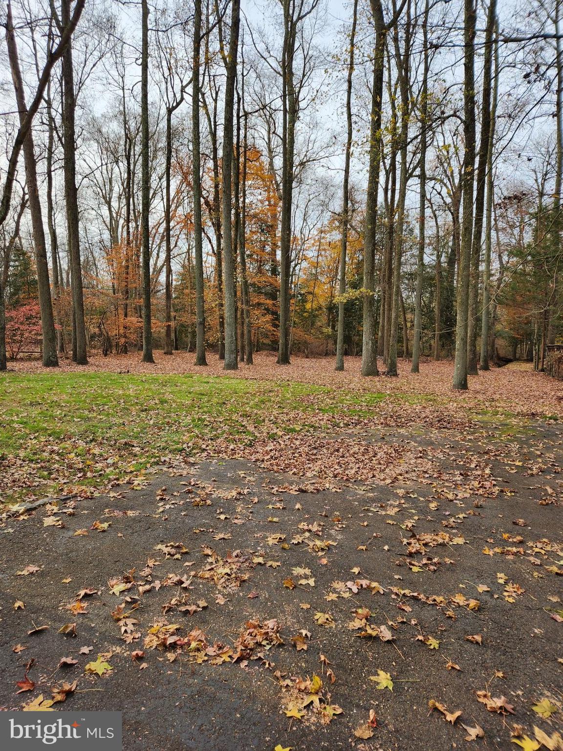 33 Old Red Lion Road Southampton, NJ 08088 - Photo 3 of 22