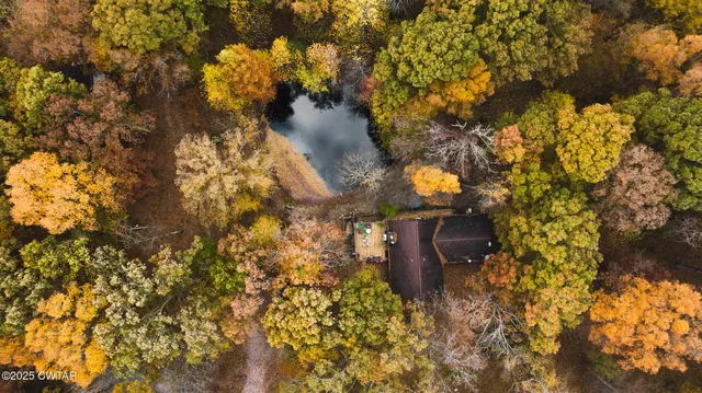 a view of a backyard with wooden fence and large trees