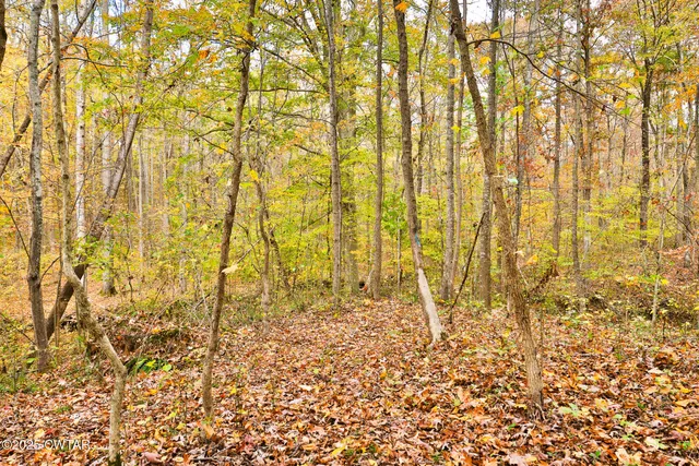 $349,900 | 5827 Boydsville Road, Palmersville, TN 38241