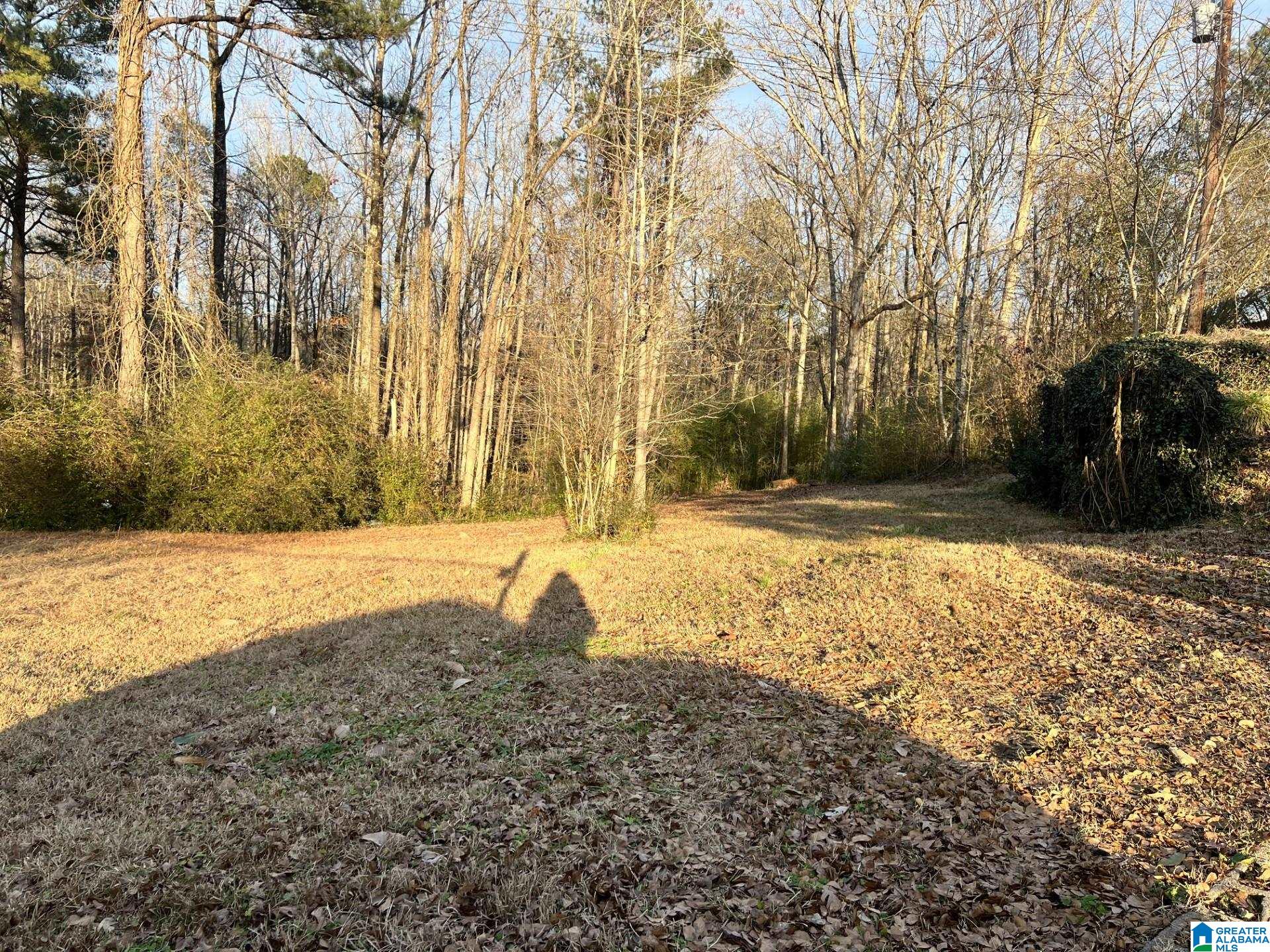 12071 Woodland Lake Road McCalla, AL 35111 - Photo 24 of 29