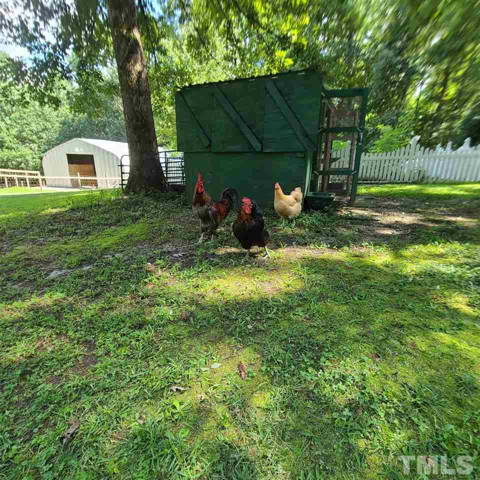 1224 Wendell Road Wendell, NC 27591 - Photo 16 of 17 Gallery Image 16