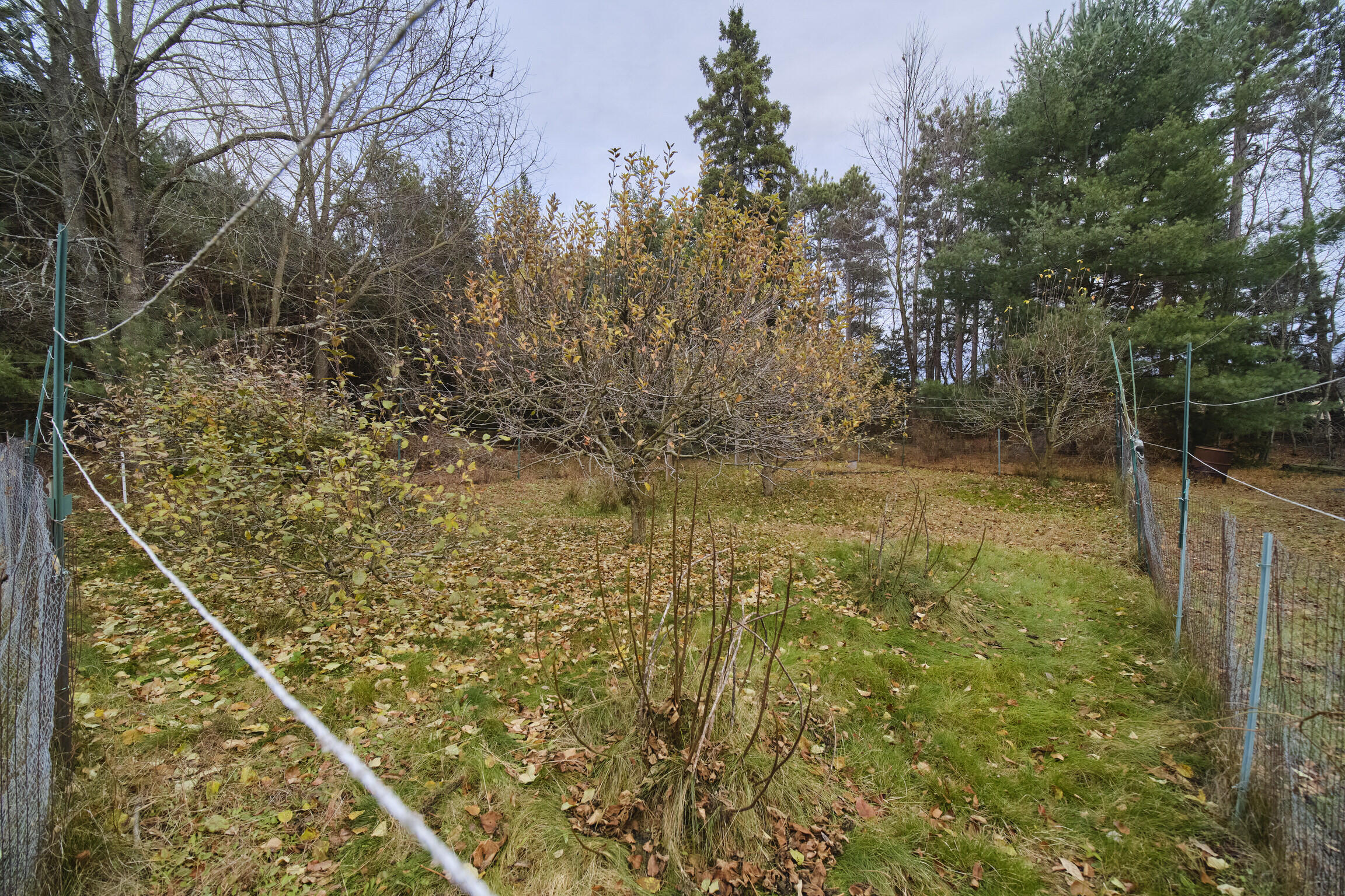 14061 Erdman Road Bear Lake, MI 49614 - Photo 20 of 42 14061_Erdman_Rd-04