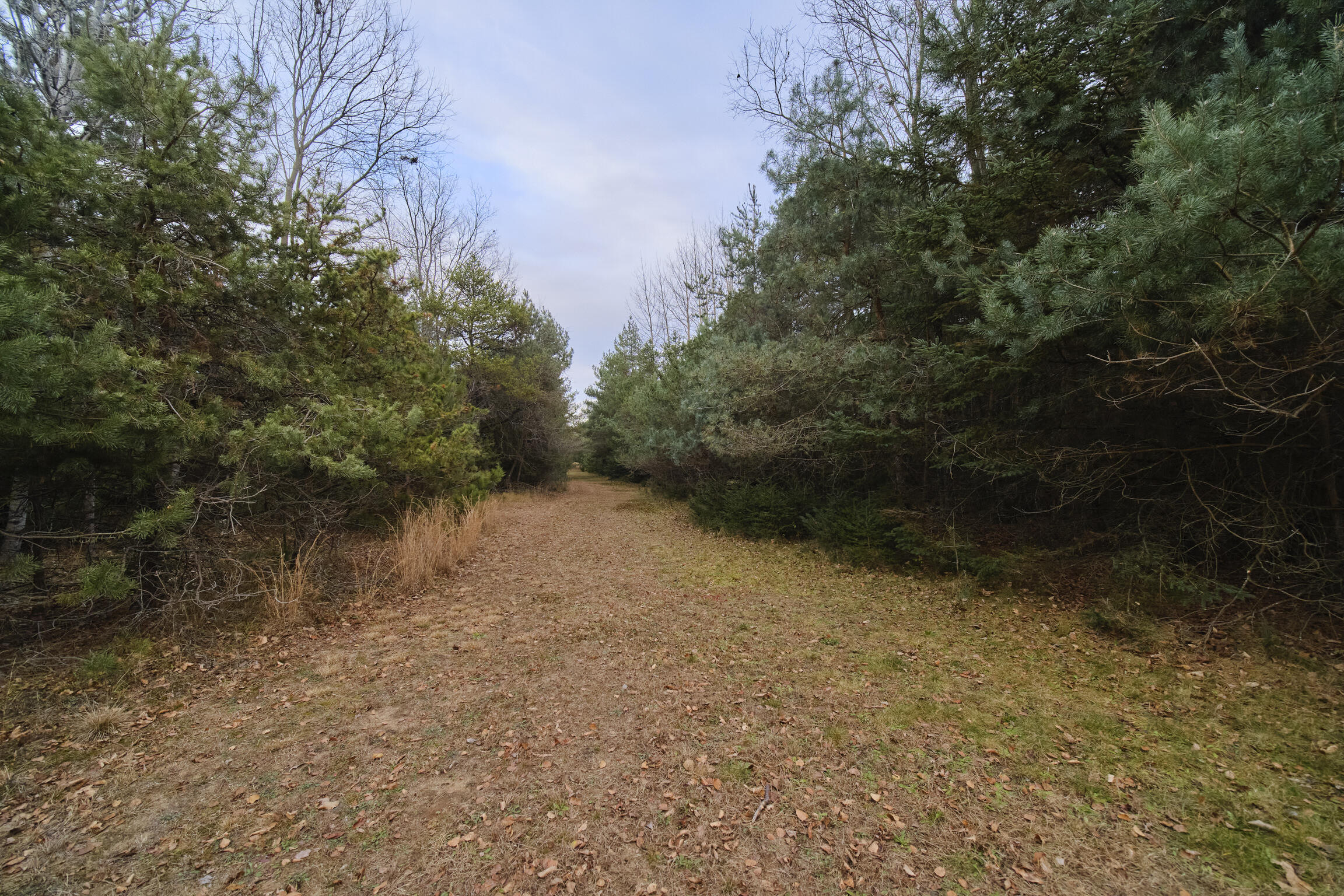 14061 Erdman Road Bear Lake, MI 49614 - Photo 23 of 42 14061_Erdman_Rd-07