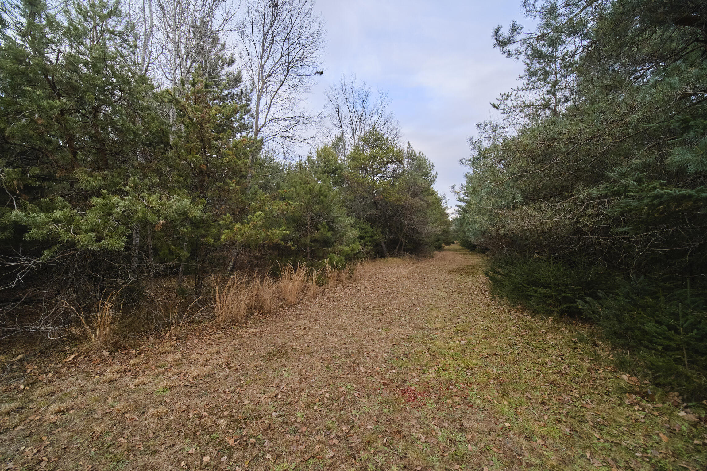 14061 Erdman Road Bear Lake, MI 49614 - Photo 24 of 42 14061_Erdman_Rd-08