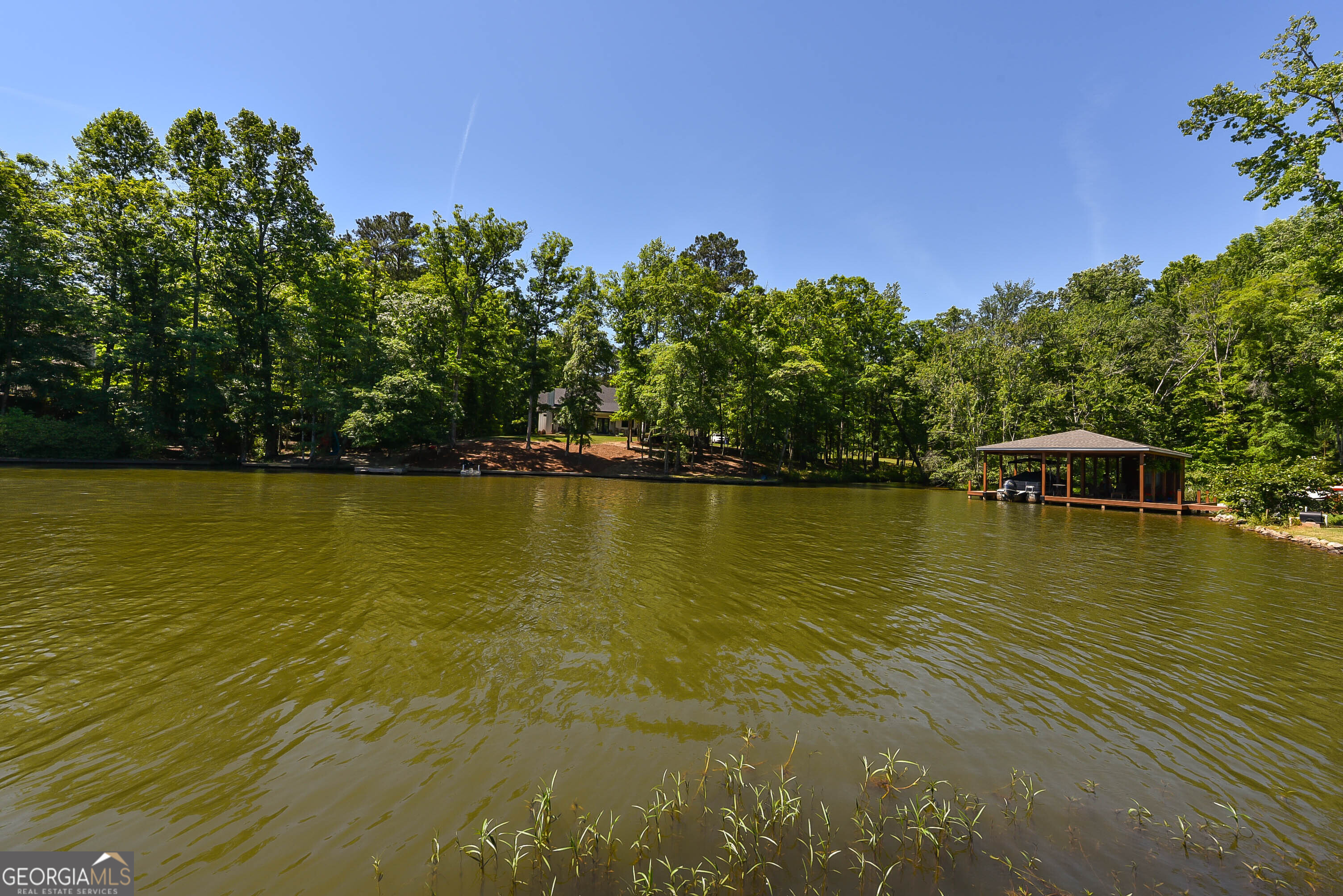 209 Lee Road Salem, AL 36874 - Photo 2 of 37 a view of a ocean with palm trees