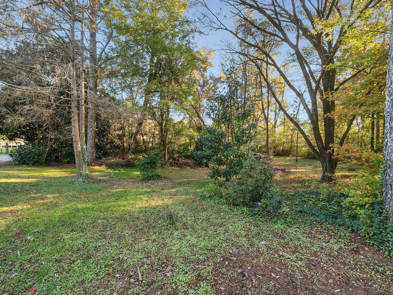 170 Reeds Lane Flintstone, GA 30725 - Photo 23 of 28 Additional lot