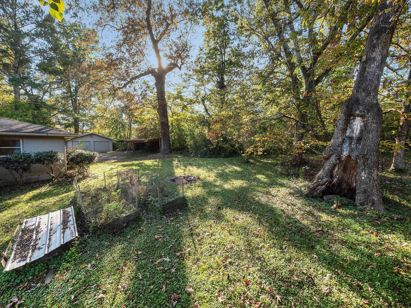 170 Reeds Lane Flintstone, GA 30725 - Photo 25 of 28 Back yard